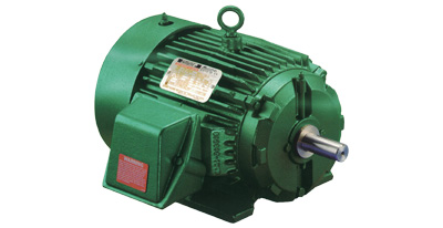 RELIANCE CHEMICAL DUTY MOTOR
